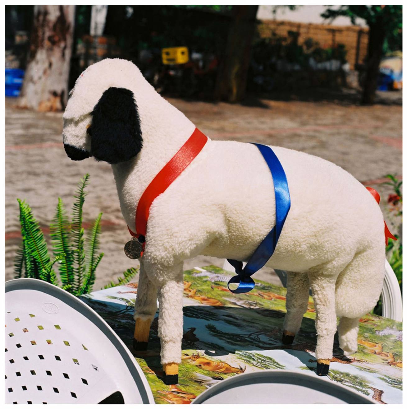 Modelled by locals; in Gocek Town