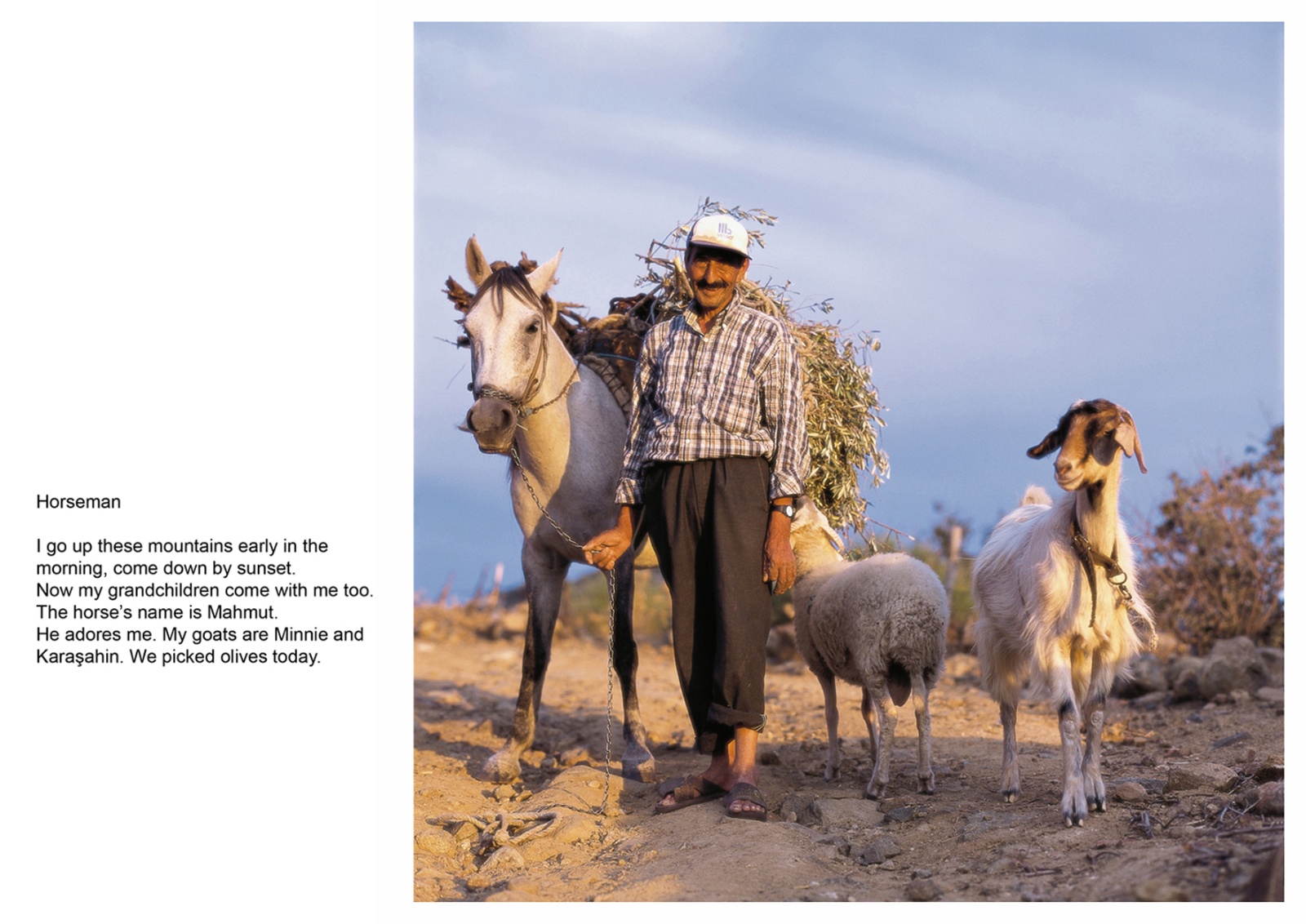 A book project about Bodrum Town - C type Prints with interview subtitles 80 x 100 cm