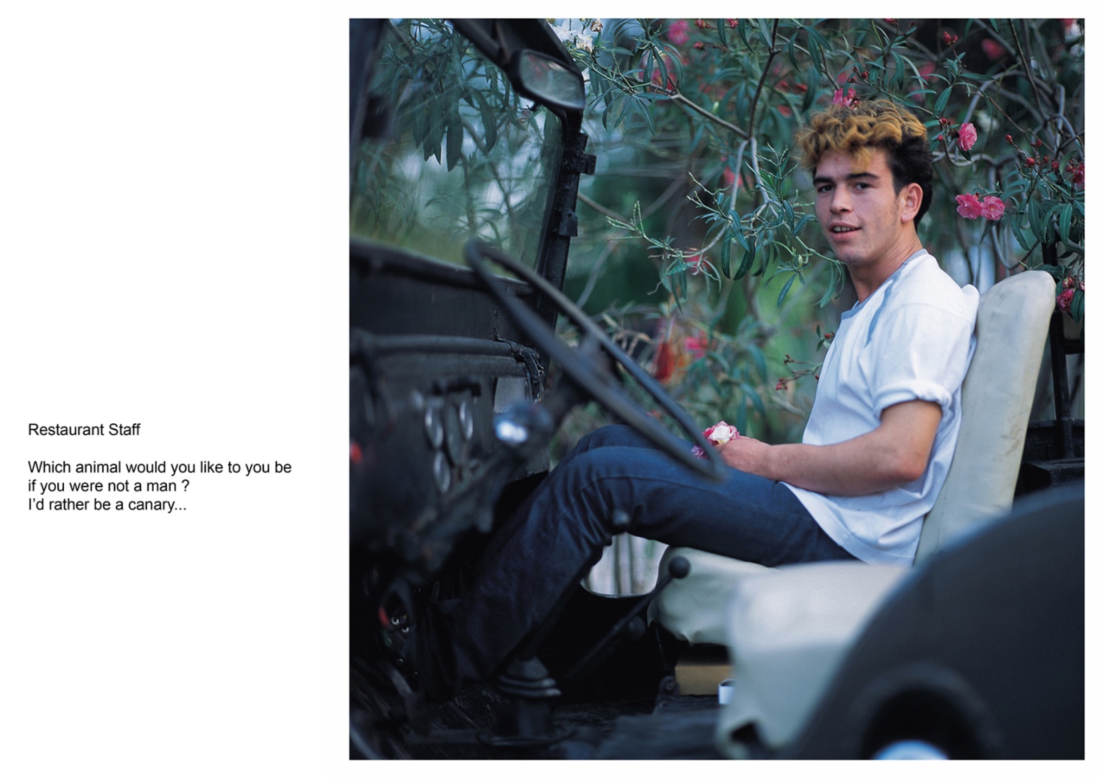 A book project about Bodrum Town - C type Prints with interview subtitles 80 x 100 cm