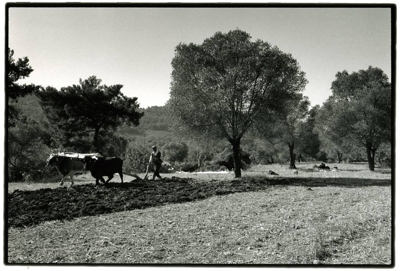 80 X 120 cm B&W Prints - Edition of 5