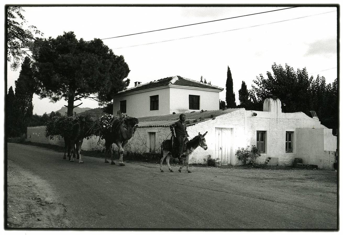 80 X 120 cm B&W Prints - Edition of 5