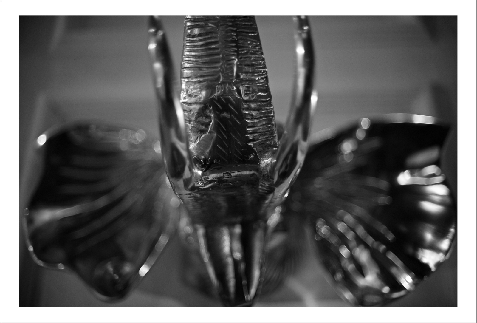 45 cm x 70 cm C Type Prints - Edition of 5