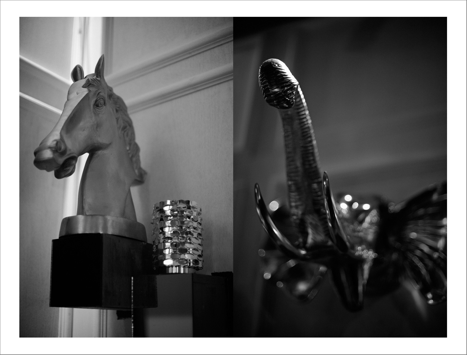 45 cm x 70 cm C Type Prints - Edition of 5