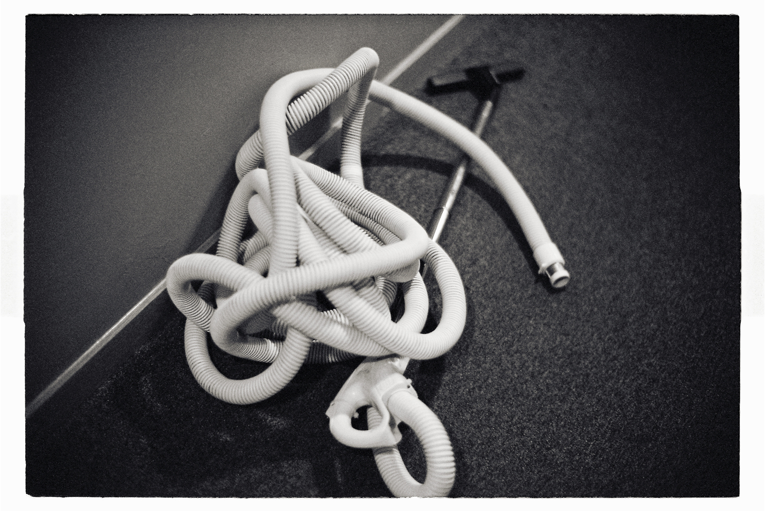 13 cm x 18 cm Postcard Size C Type Prints Portfolio - Edition of 50