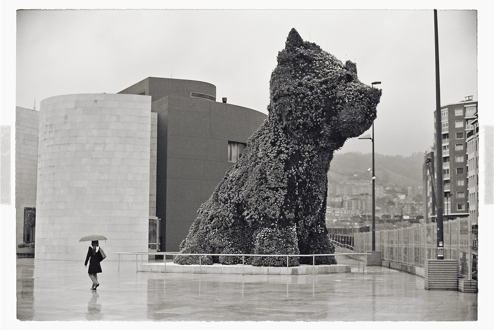 13 cm x 18 cm Postcard Size C Type Prints Portfolio - Edition of 50