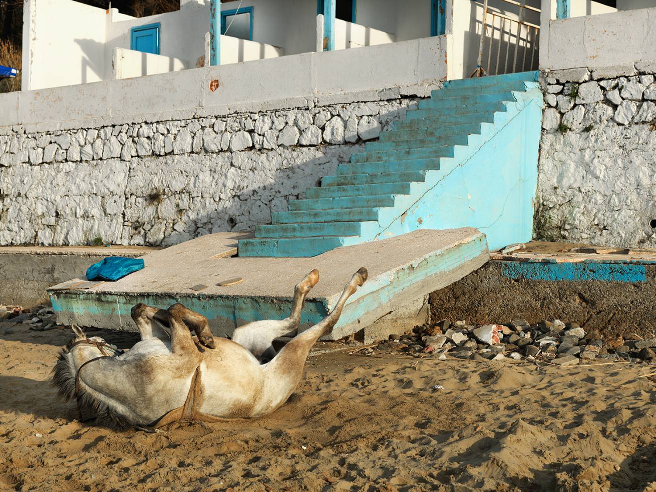 SetWidth1310 A 1232954 - 110 x 150 cm C Type Prints - Edition of 7