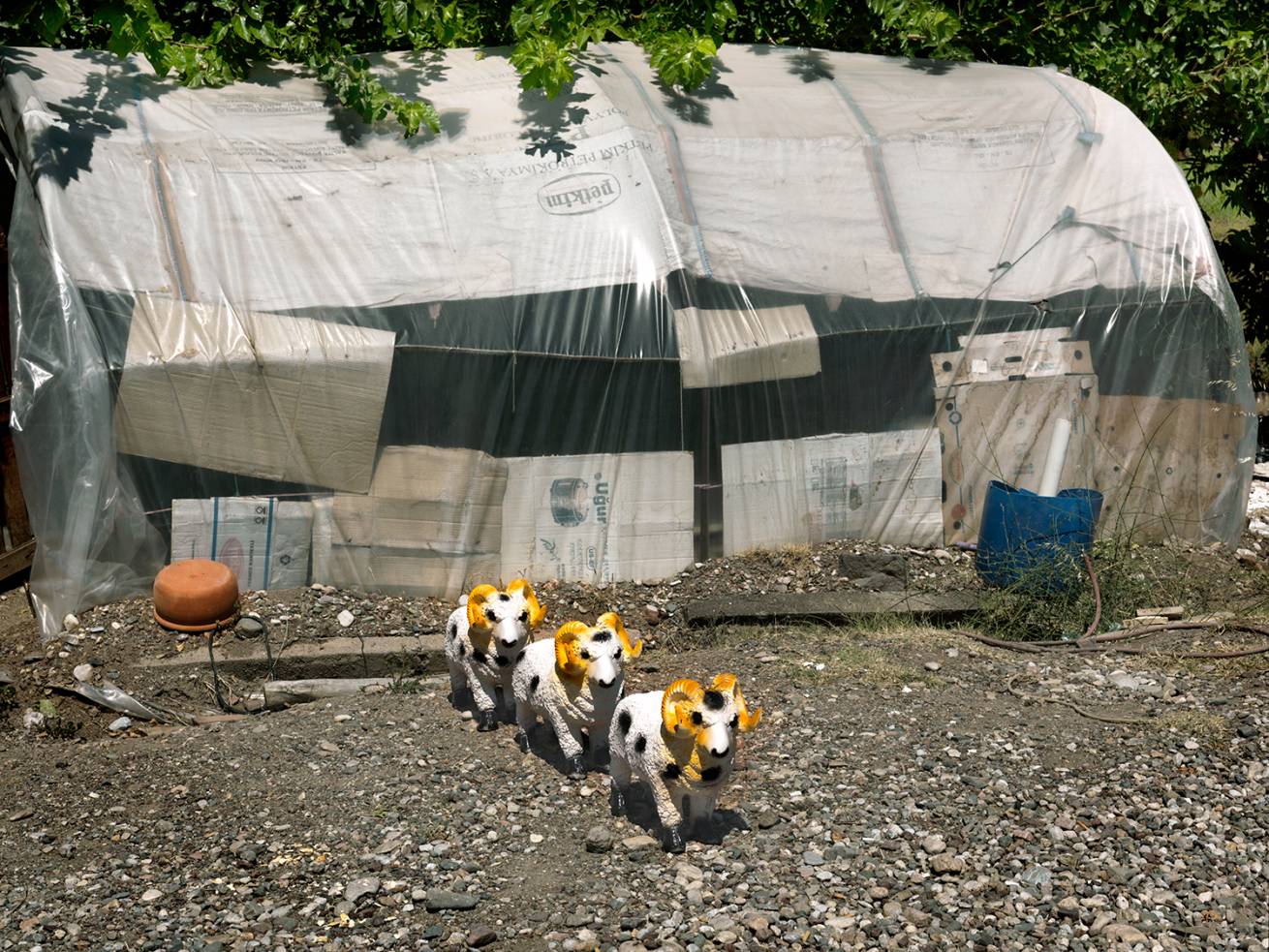 SetWidth1310 A 1973 - 110 x 150 cm C Type Prints - Edition of 7