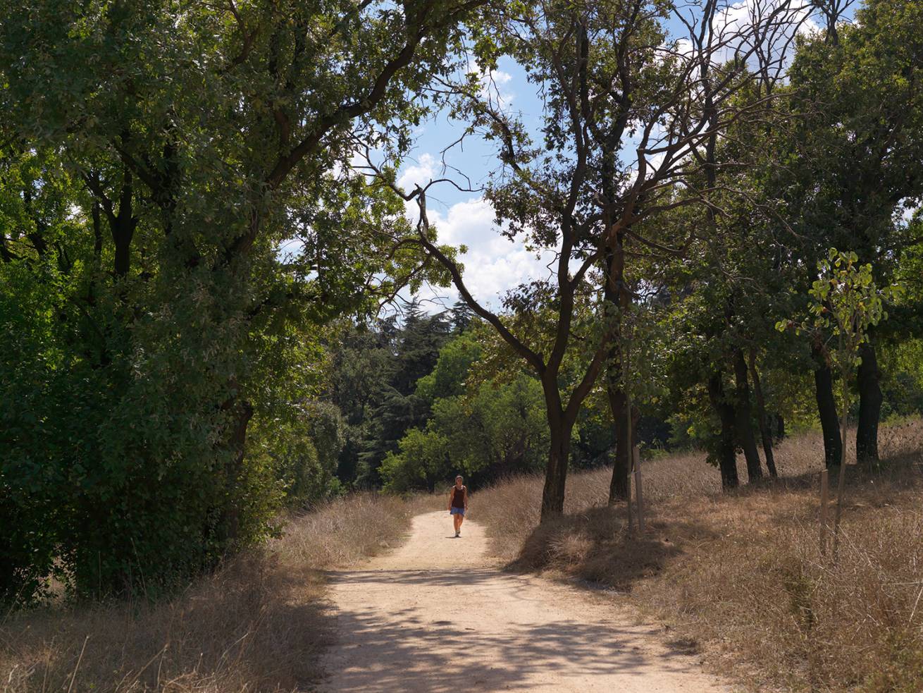 SetWidth1310 A 3053 - 110 x 150 cm C Type Prints - Edition of 7