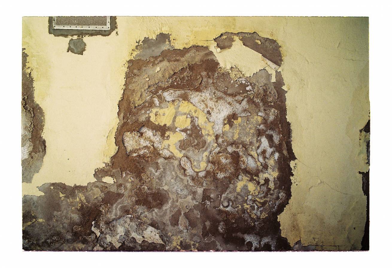 50 x 75 cm Pigment Ink Prints Portfolio - Edition of 5