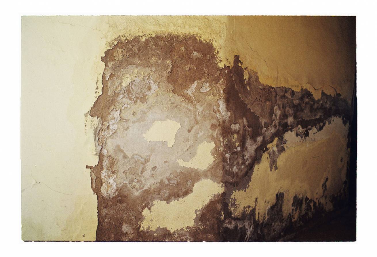 50 x 75 cm Pigment Ink Prints Portfolio - Edition of 5