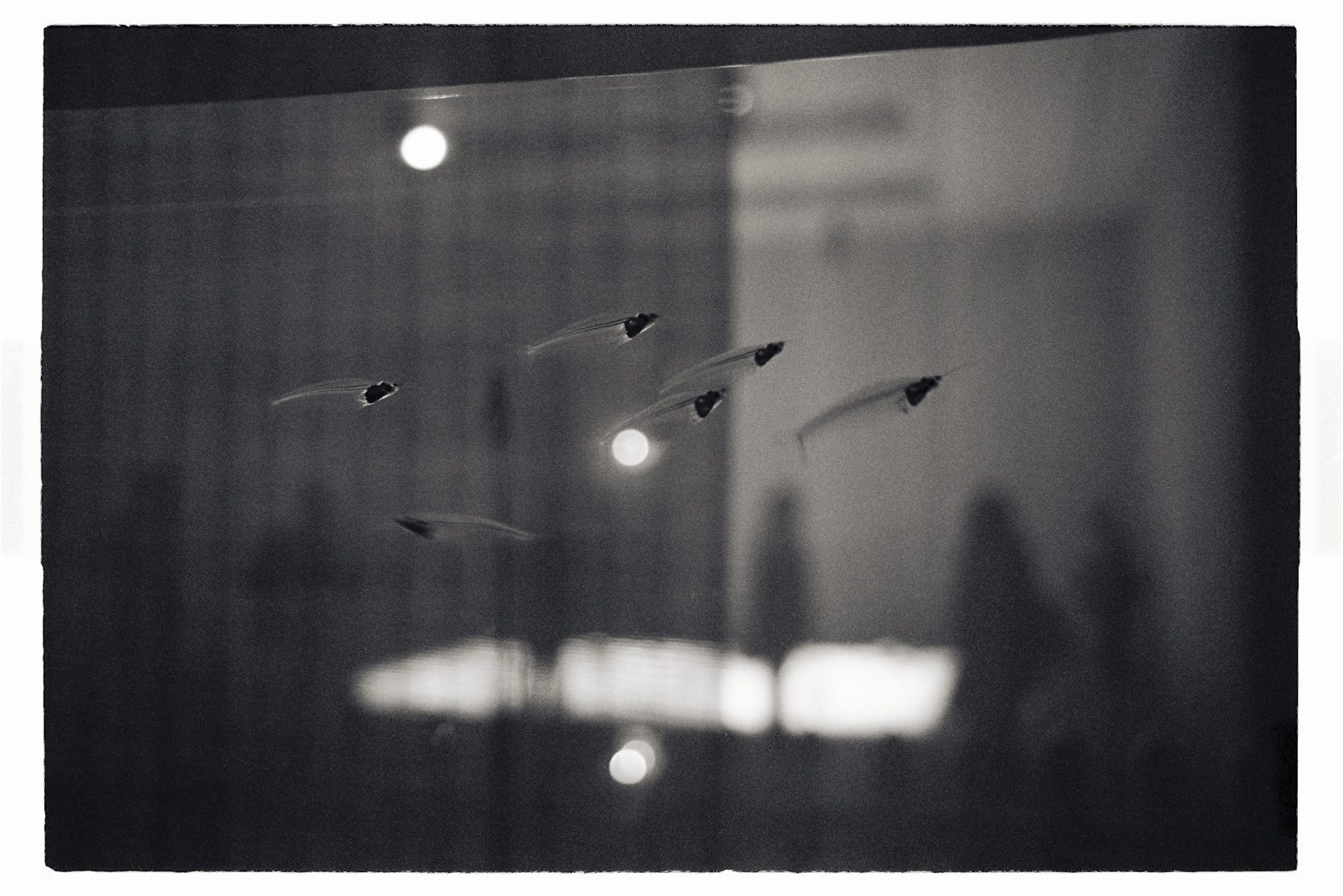 13 cm x 18 cm Postcard Size C Type Prints Portfolio - Edition of 50