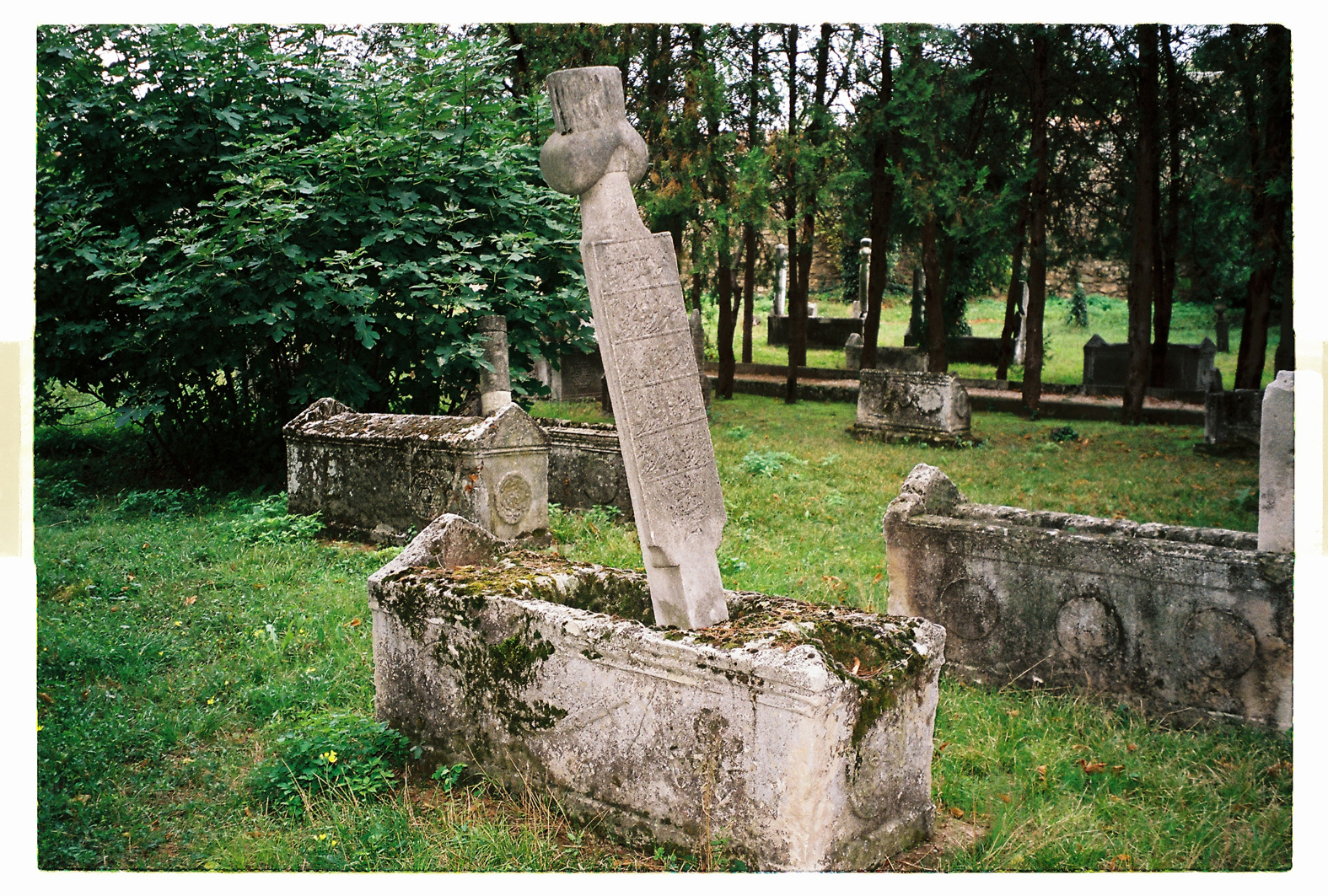 75 cm x 115 cm - Pigment Ink Prints Portfolio - Edition of 5