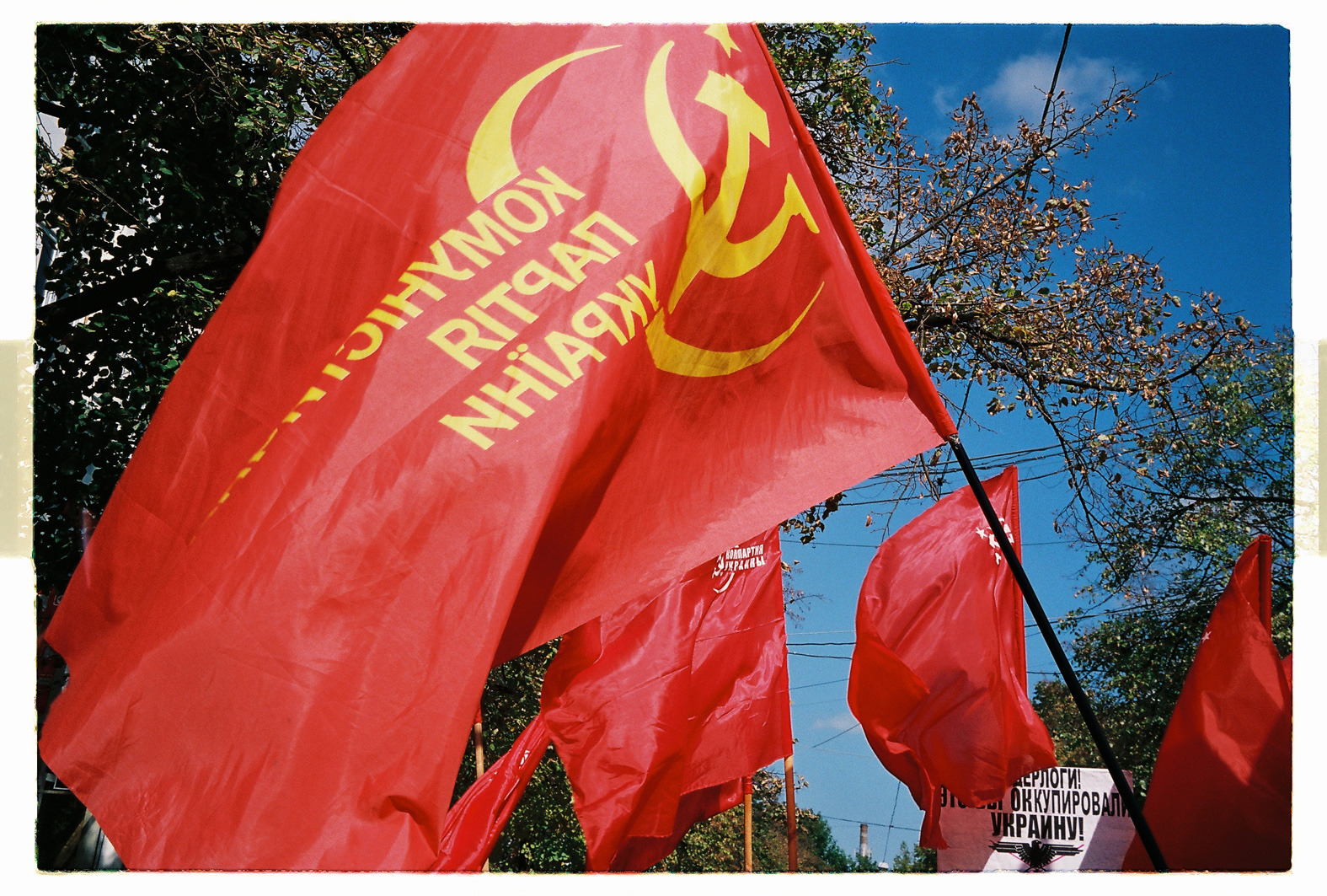 75 cm x 115 cm - Pigment Ink Prints Portfolio - Edition of 5