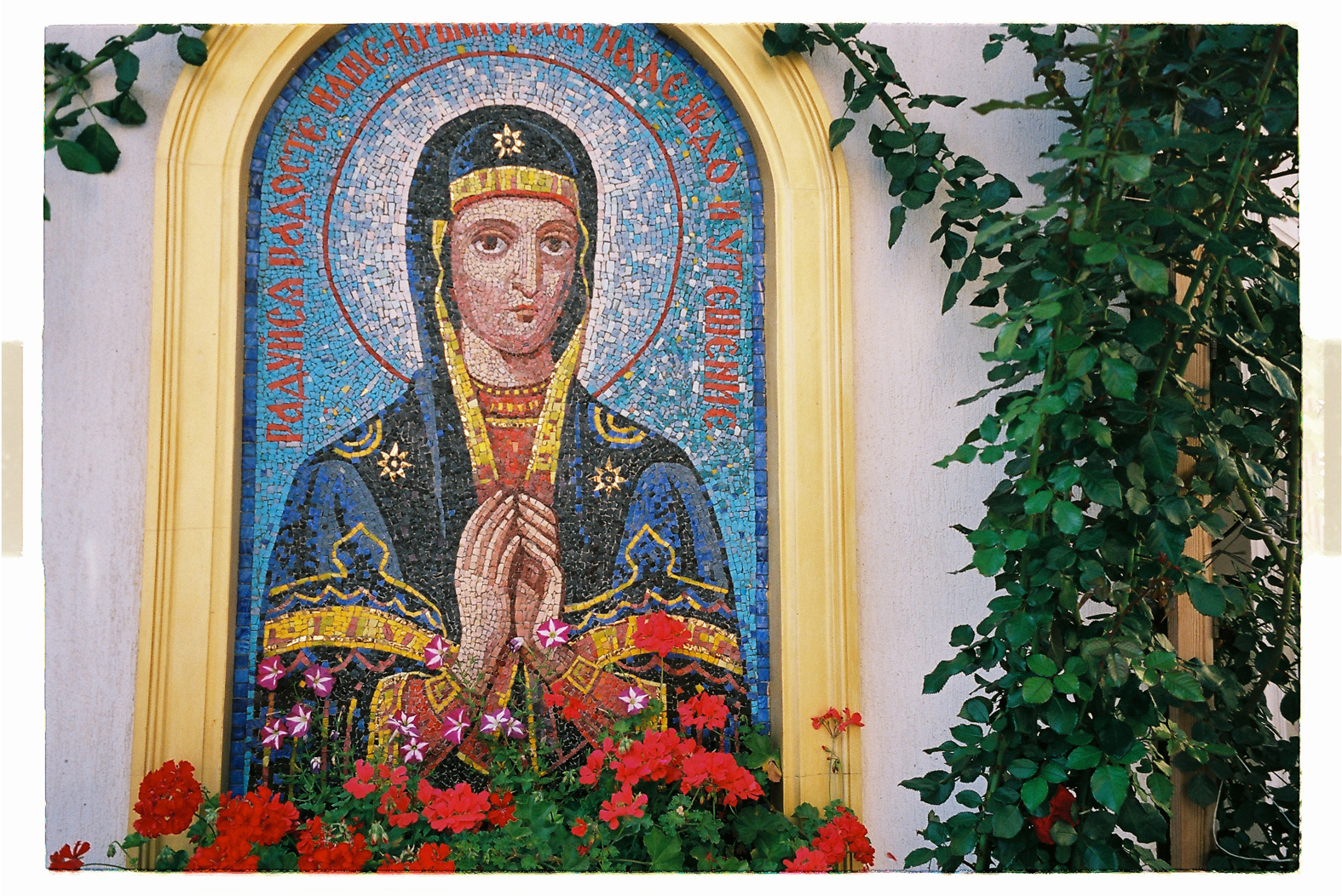 75 cm x 115 cm - Pigment Ink Prints Portfolio - Edition of 5