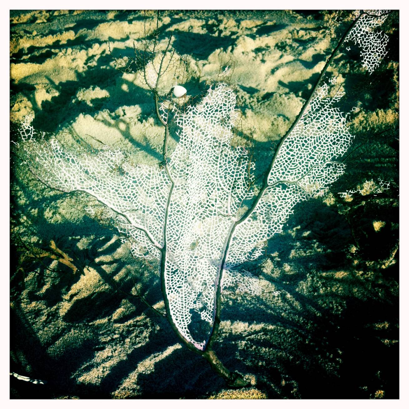 Miami 010 - 13 cm x 15 cm Postcard Size C Type Prints Portfolio - Edition of 50