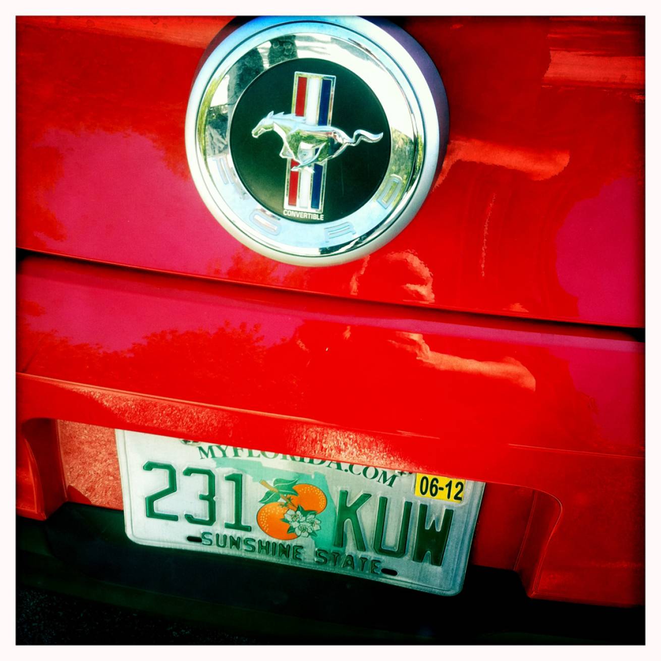 Miami 018 - 13 cm x 15 cm Postcard Size C Type Prints Portfolio - Edition of 50