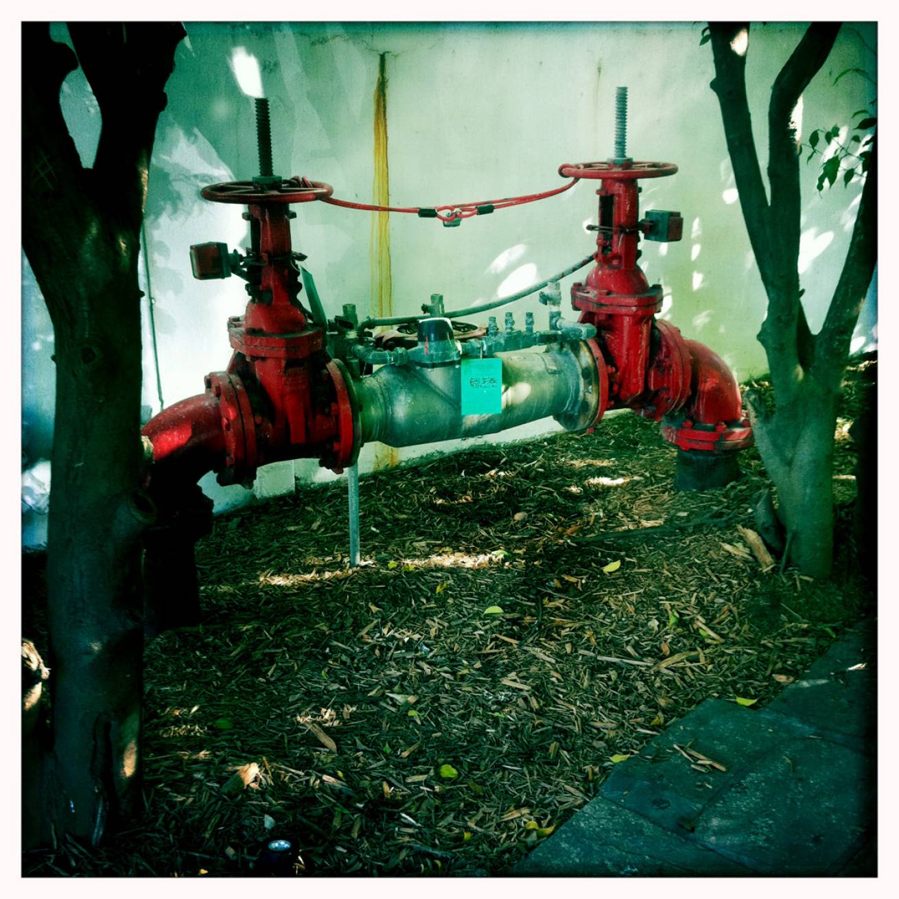 Miami 021 - 13 cm x 15 cm Postcard Size C Type Prints Portfolio - Edition of 50