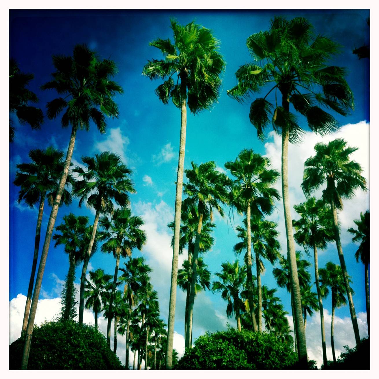 Miami 022 - 13 cm x 15 cm Postcard Size C Type Prints Portfolio - Edition of 50