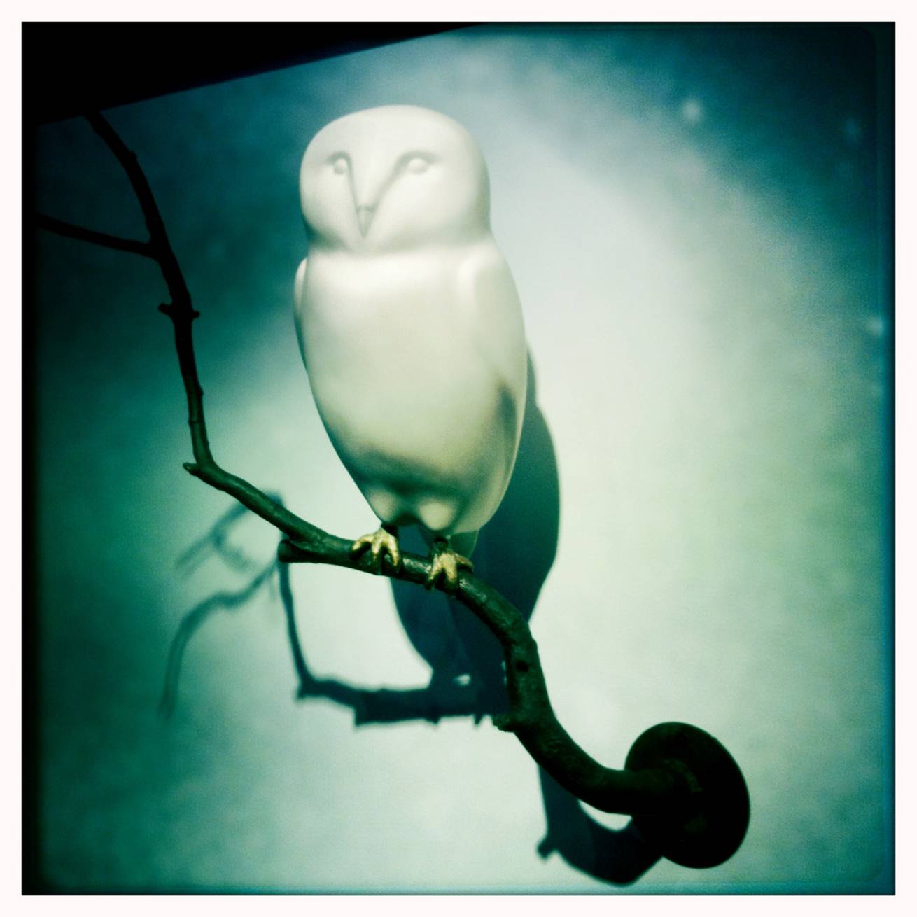 Miami 037 - 13 cm x 15 cm Postcard Size C Type Prints Portfolio - Edition of 50