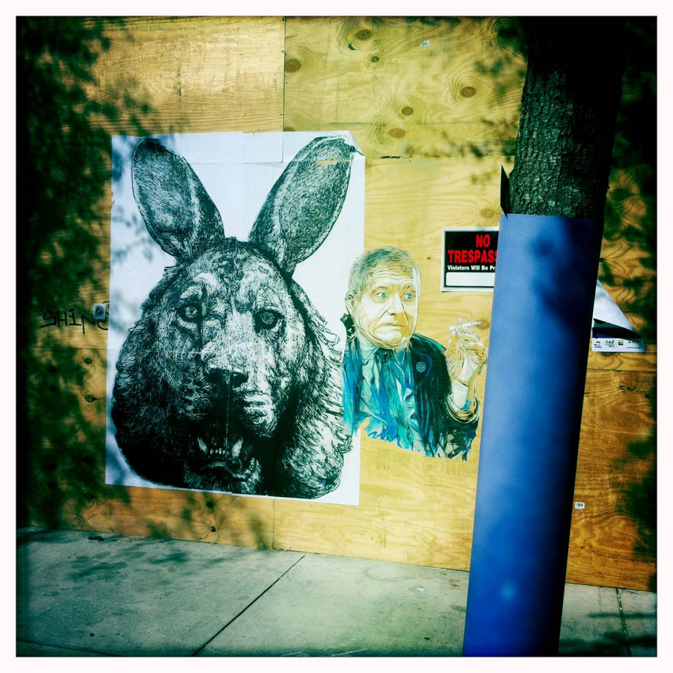 13 cm x 15 cm Postcard Size C Type Prints Portfolio - Edition of 50