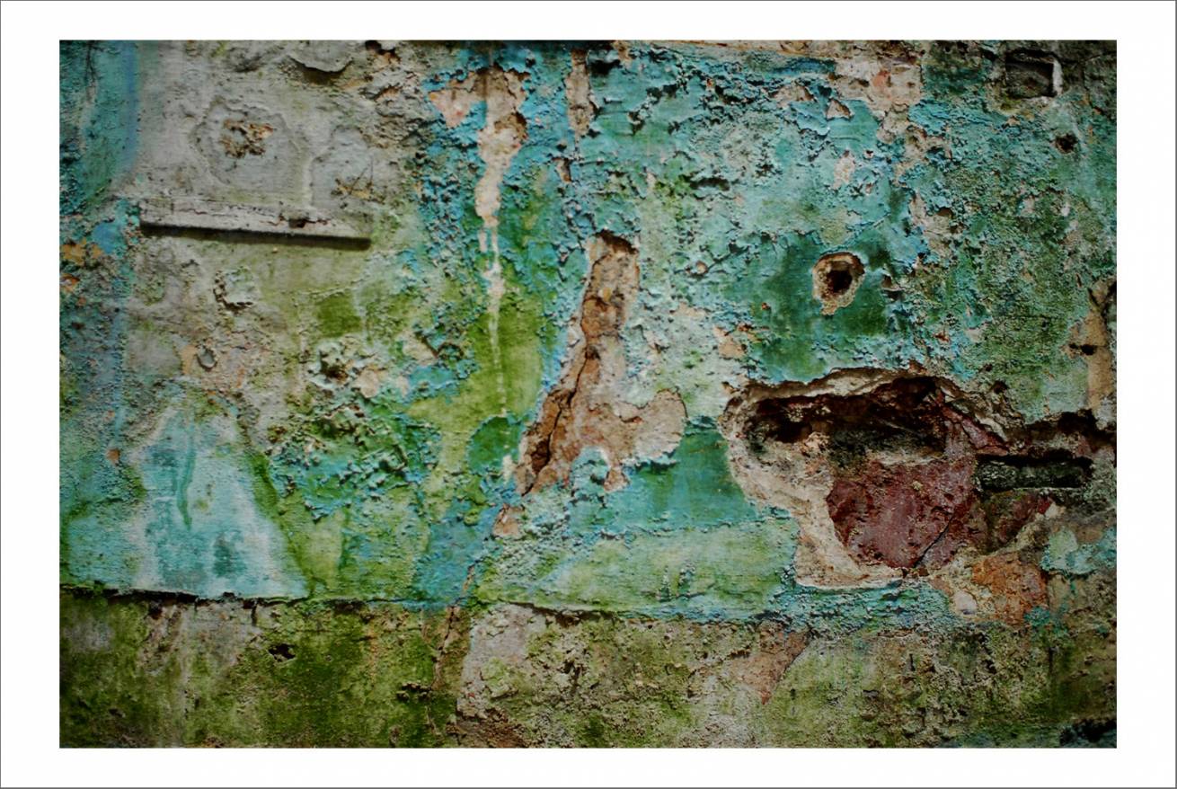 70 x 100 cm Pigment Prints Edition of 5