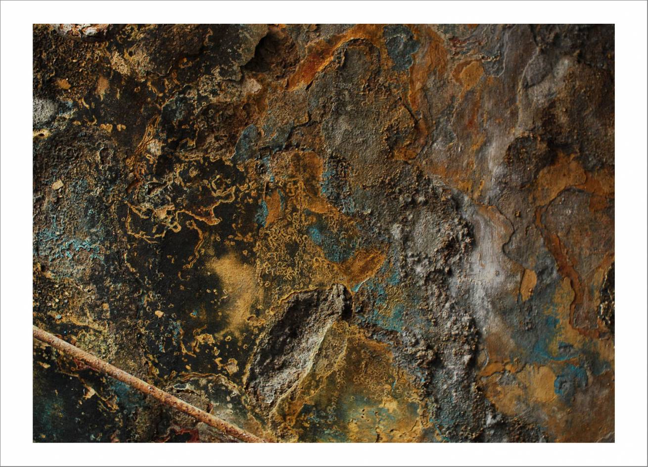 70 x 100 cm Pigment Prints Edition of 5