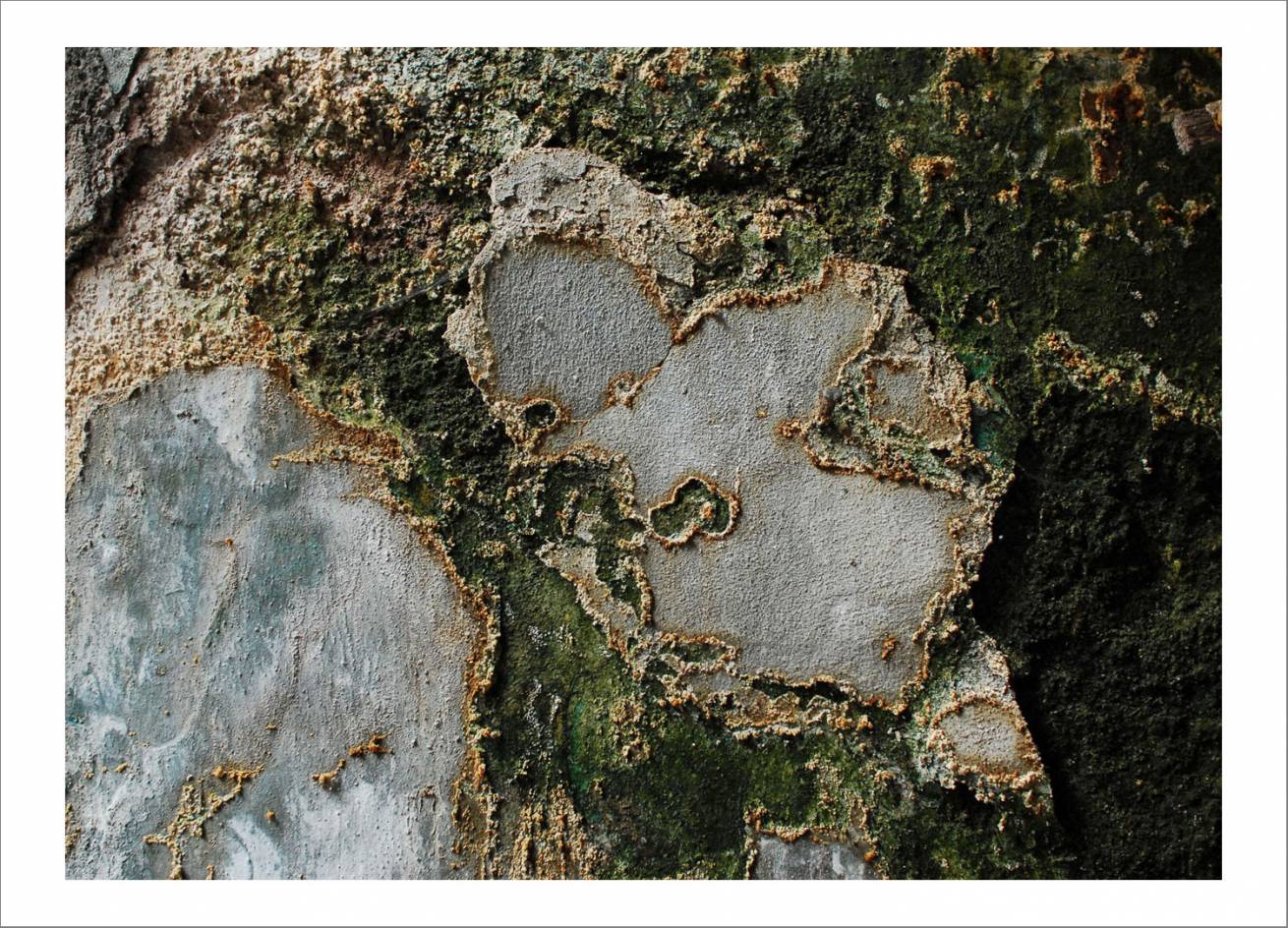 70 x 100 cm Pigment Prints Edition of 5