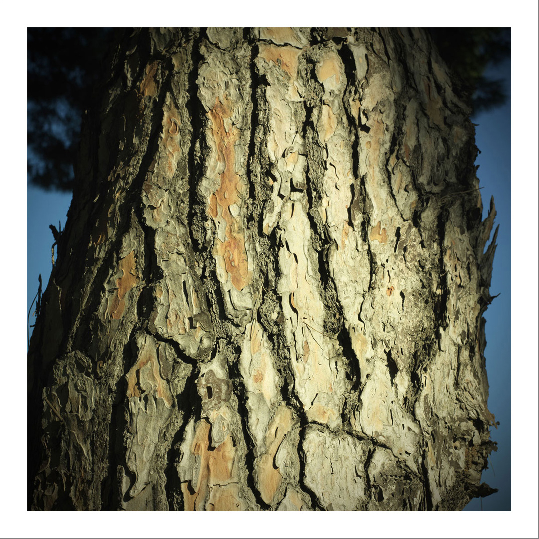 110 x 110 cm Diasec Mounted Prints - Edition of 5