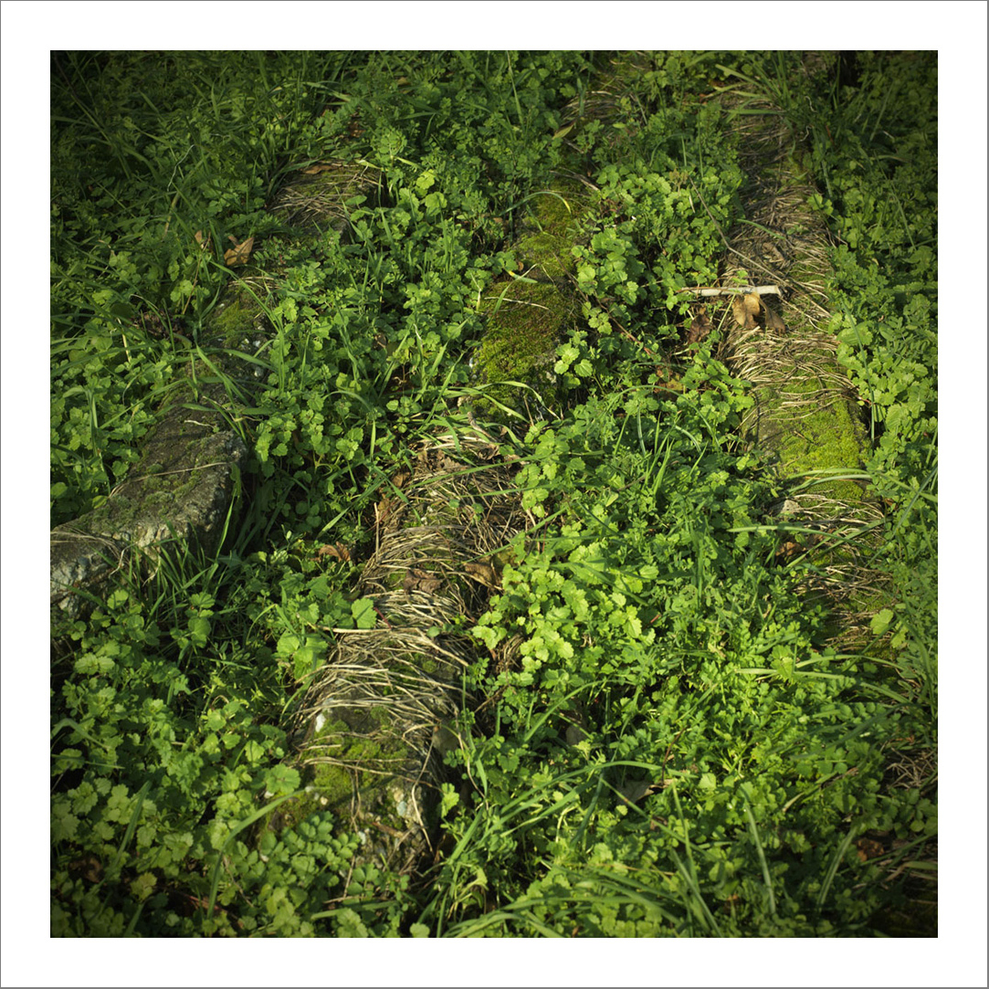 110 x 110 cm Diasec Mounted Prints - Edition of 5