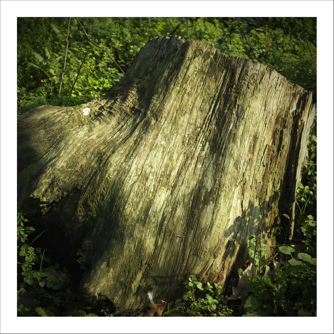 110 x 110 cm Diasec Mounted Prints - Edition of 5