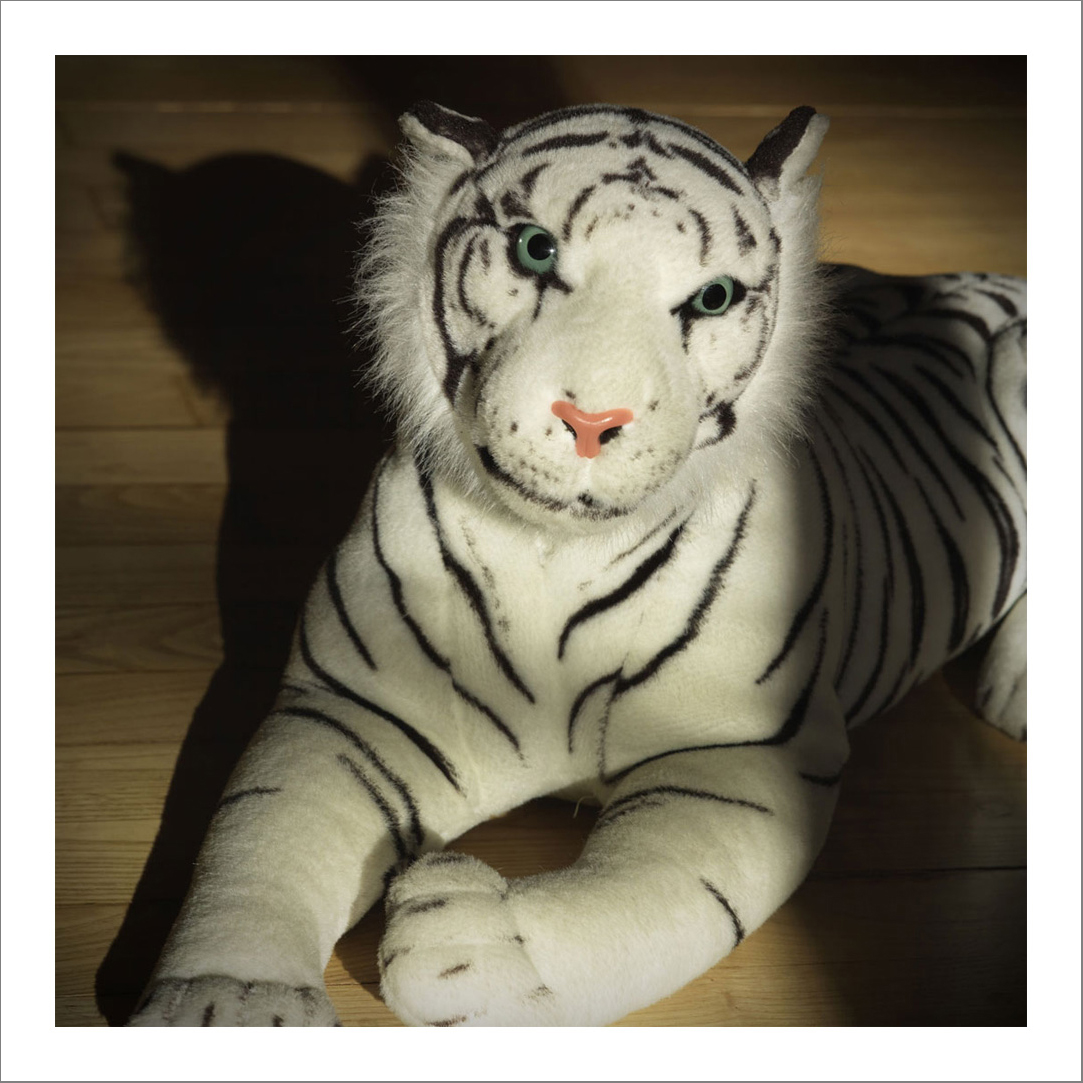 110 x 110 cm Diasec Mounted Prints - Edition of 5