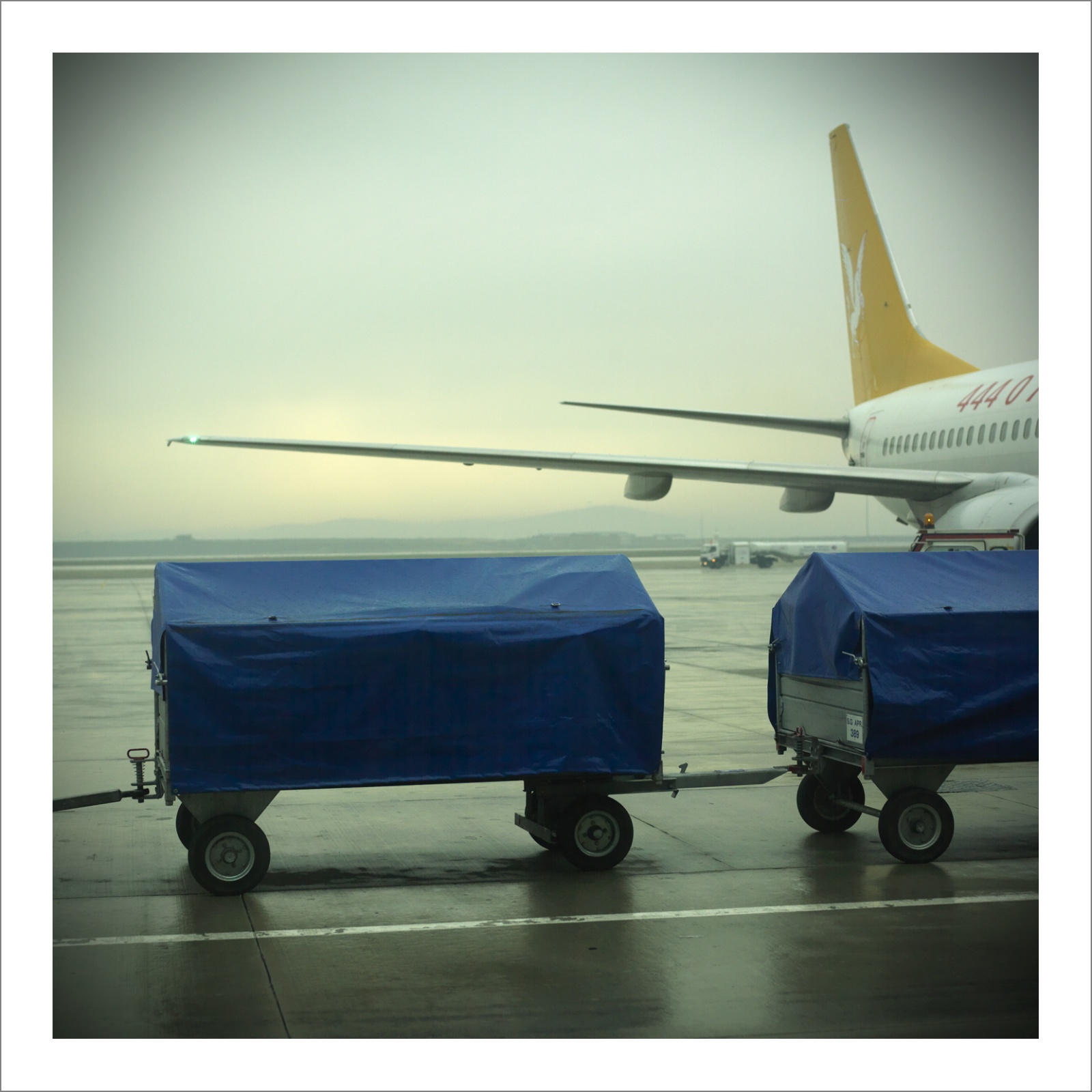 110 x 110 cm Diasec Mounted Prints - Edition of 5