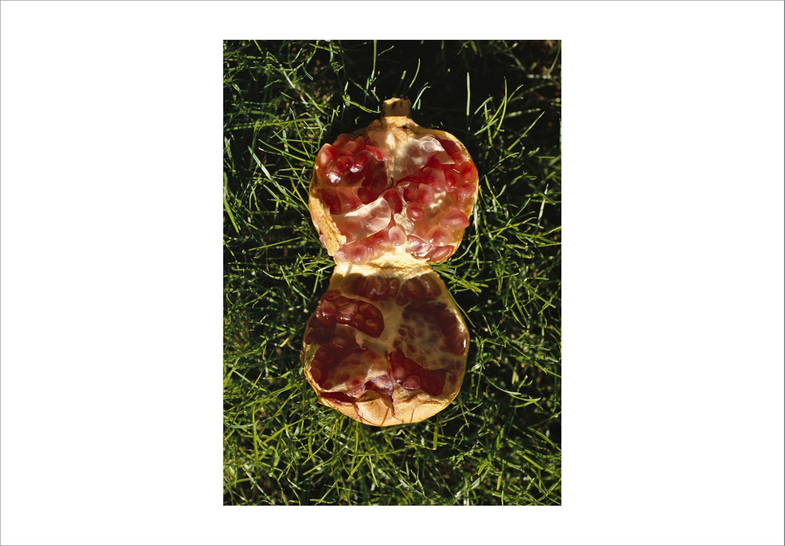 110 x 140 cm Pigment Prints - Edition of 5