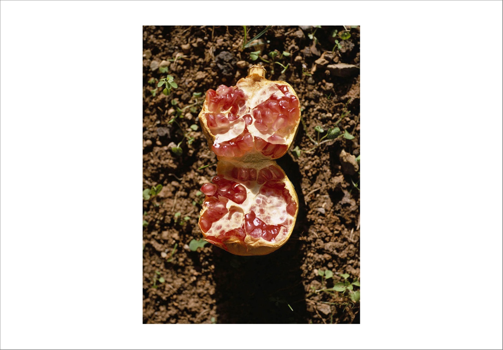 110 x 140 cm Pigment Prints - Edition of 5