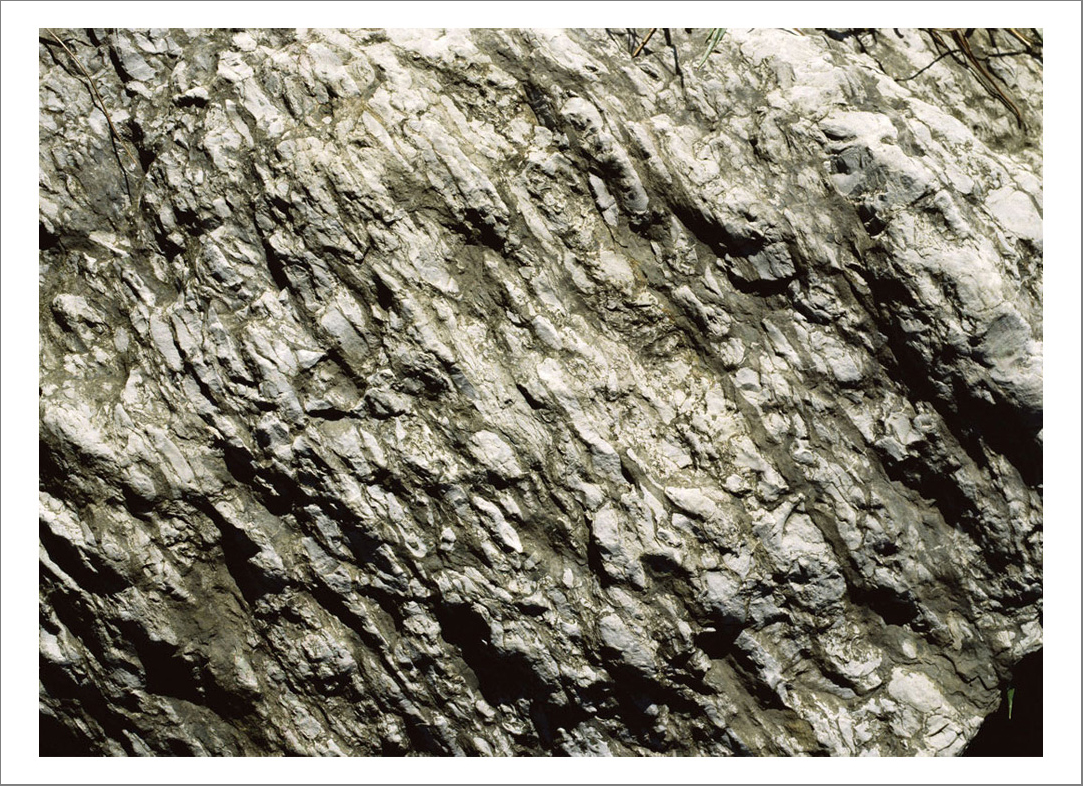 110 x 140 cm Pigment Prints - Edition of 5