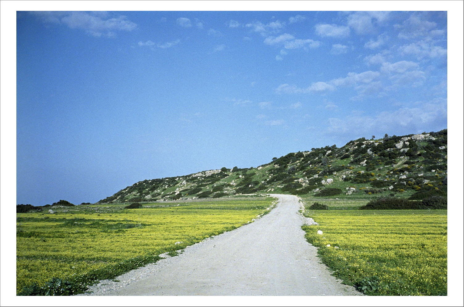 110 x 140 cm Pigment Prints - Edition of 5