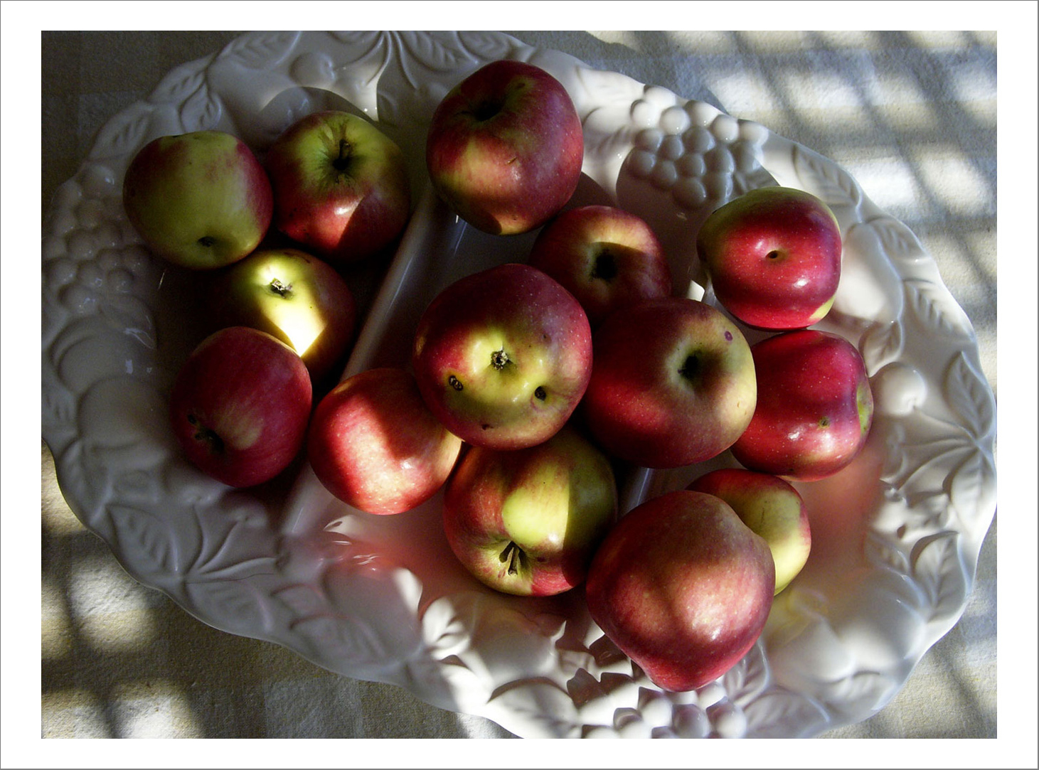 110 x 140 cm Pigment Prints - Edition of 5