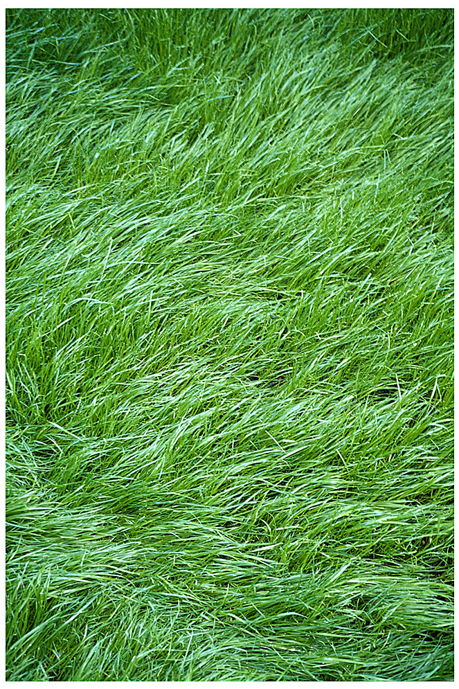 110 x 140 cm Pigment Prints - Edition of 5