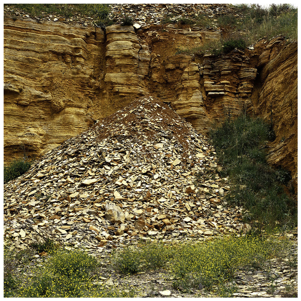 110 x 140 cm Pigment Prints - Edition of 5