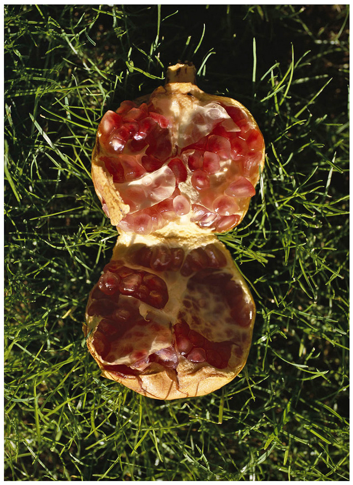 110 x 140 cm Pigment Prints - Edition of 5