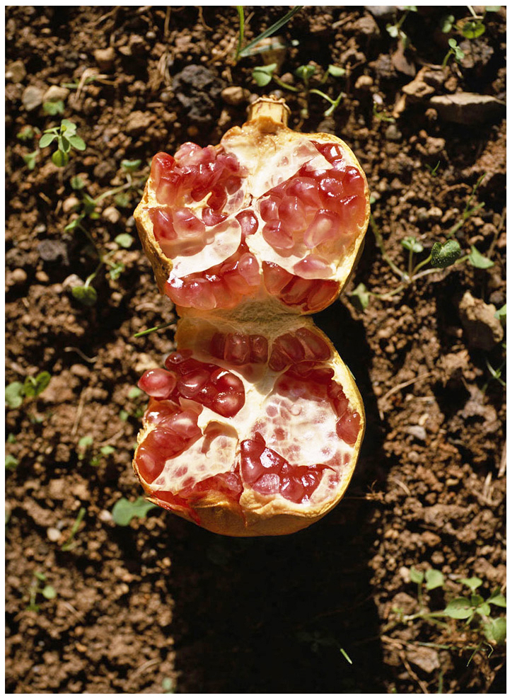 110 x 140 cm Pigment Prints - Edition of 5