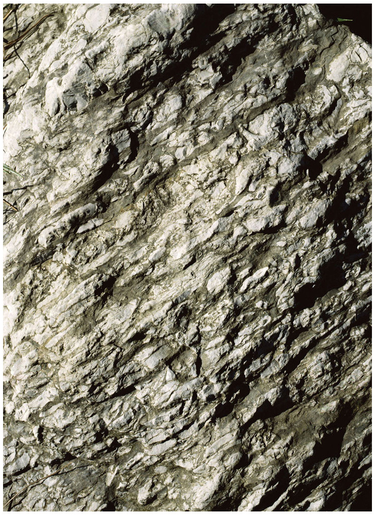 110 x 140 cm Pigment Prints - Edition of 5