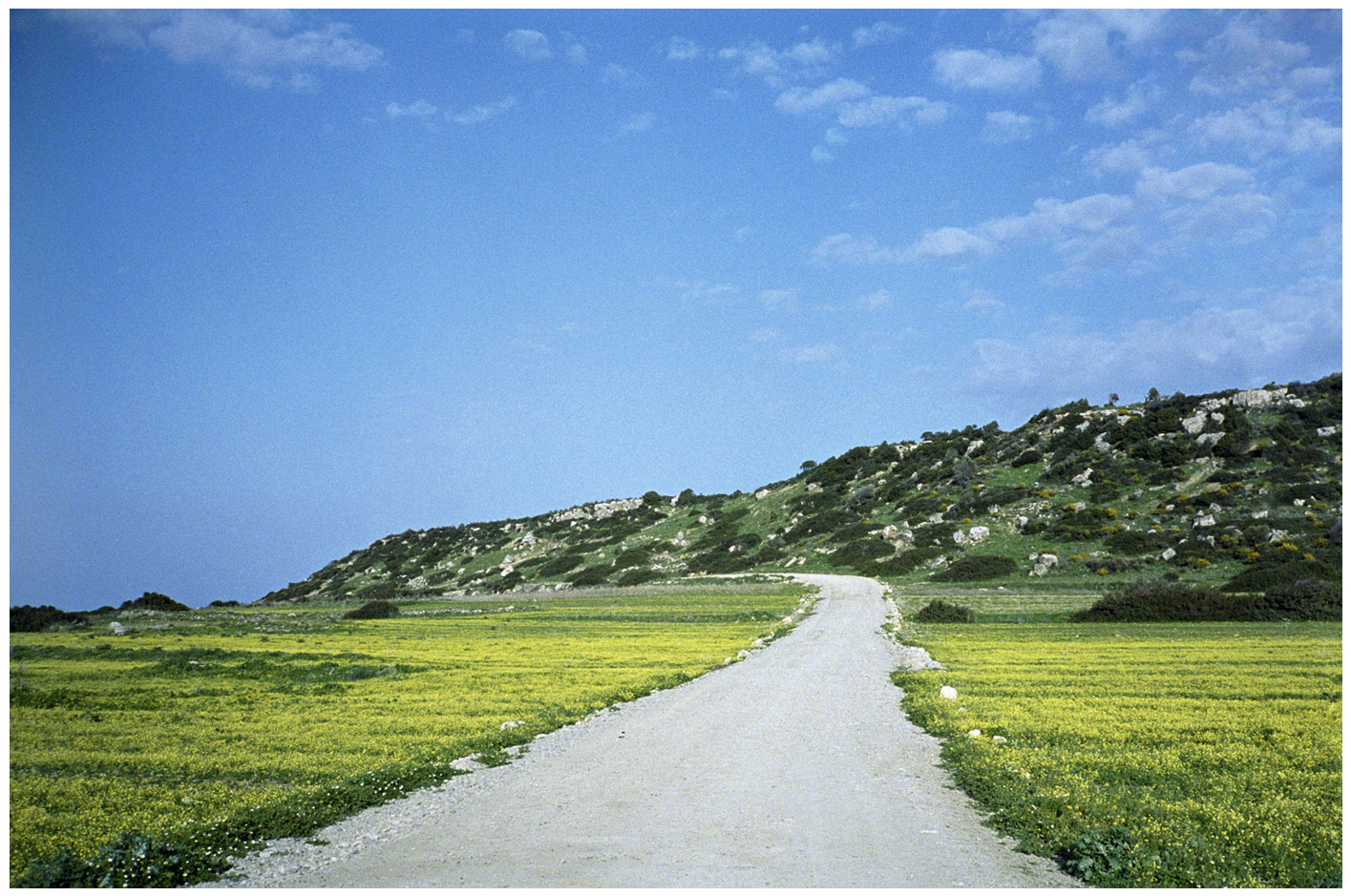 110 x 140 cm Pigment Prints - Edition of 5