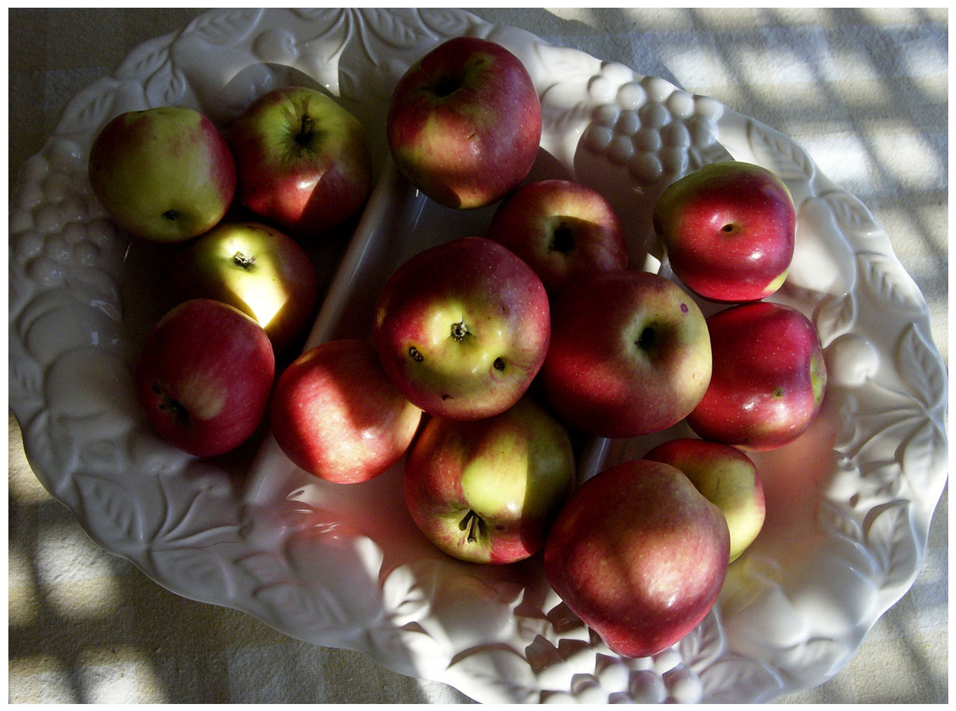 110 x 140 cm Pigment Prints - Edition of 5