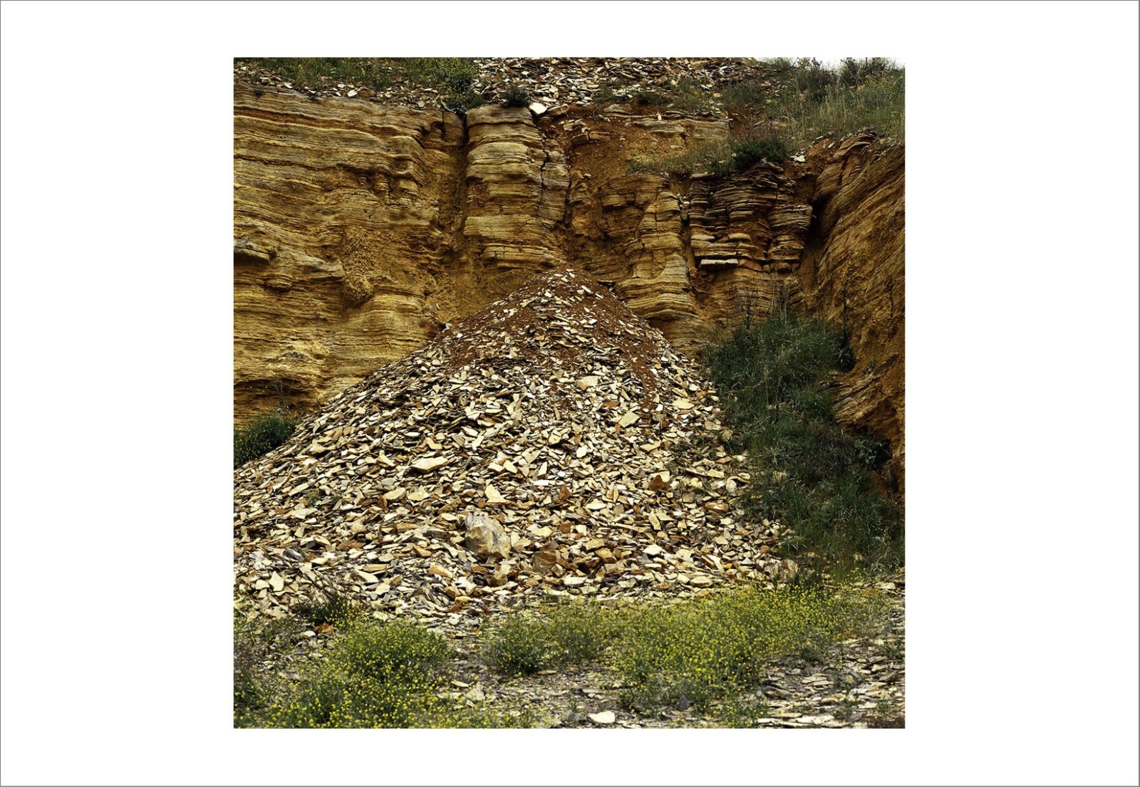 110 x 140 cm Pigment Prints - Edition of 5