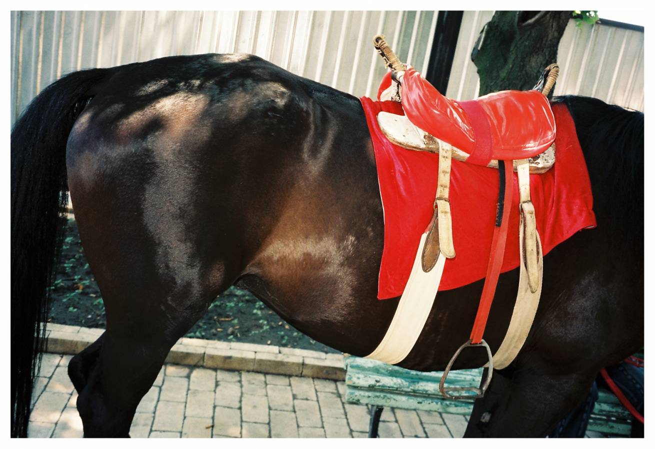 Odessa 053 - Two Photographs in 75 x 100 cm C Type Prints / Edition of 5