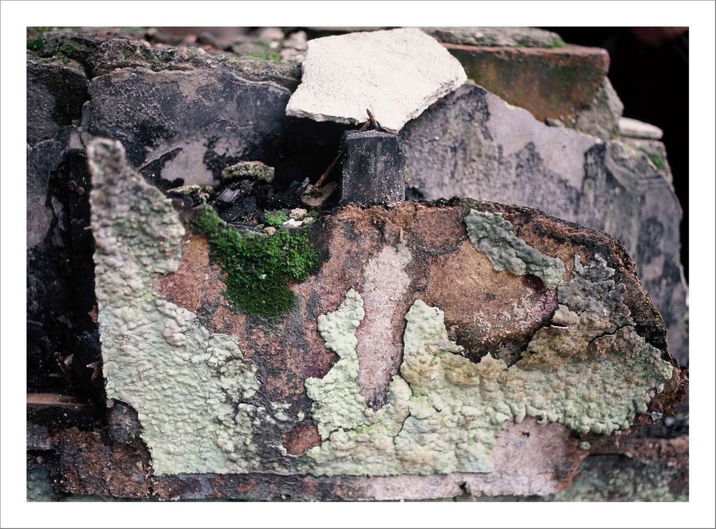 13 x 15 cm Postcard Size Prints compiled in a Box