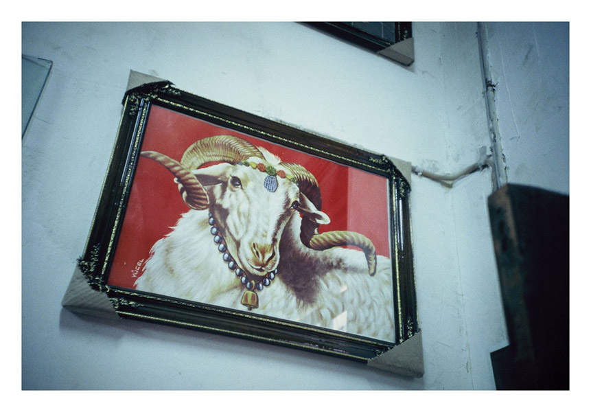 13 x 15 cm Postcard Size Prints compiled in a Box