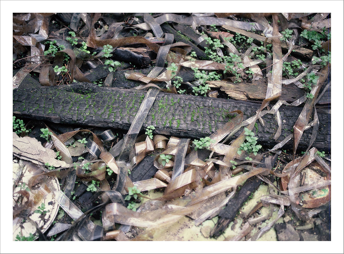 13 x 15 cm Postcard Size Prints compiled in a Box