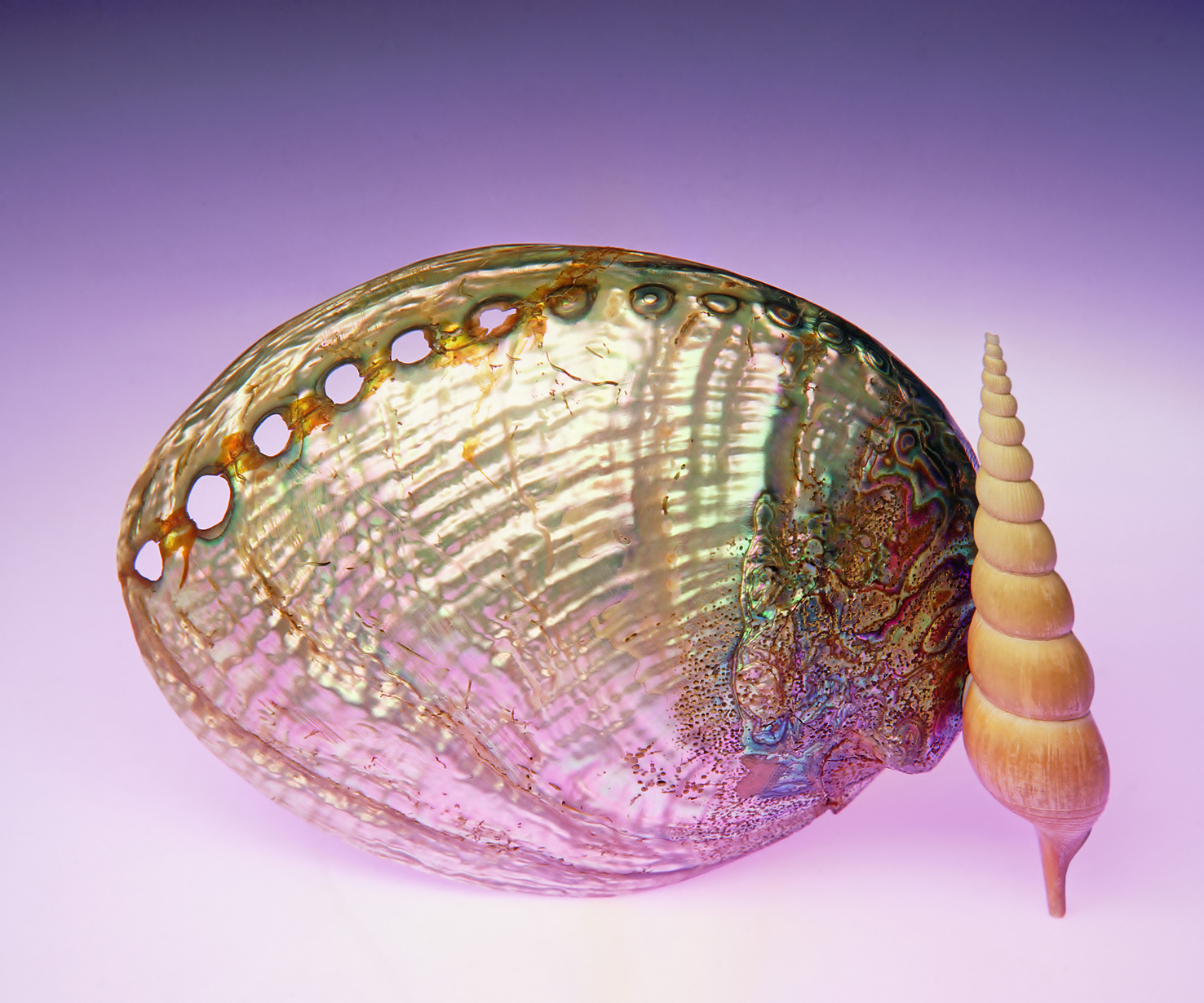 100 x 75 cm Prints - Edition of 5